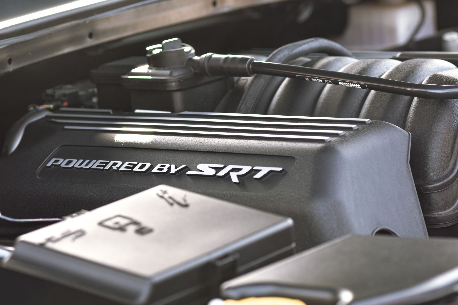 Does Advance Auto Parts Carry Gas Struts? What You Need to Know