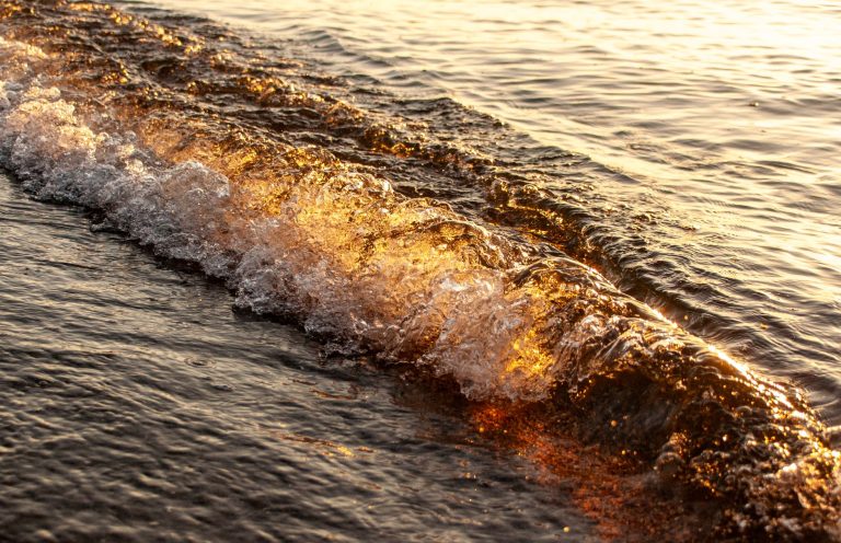What Are Wave Springs and When Should They Be Specified?
